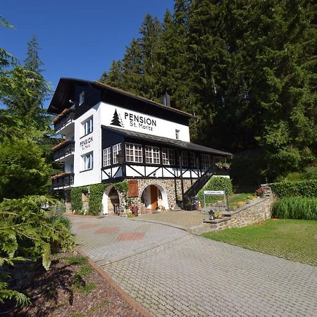 Pension St. Moritz Železná Ruda Exterior foto