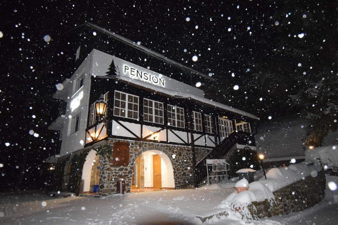 Pension St. Moritz Železná Ruda Exterior foto